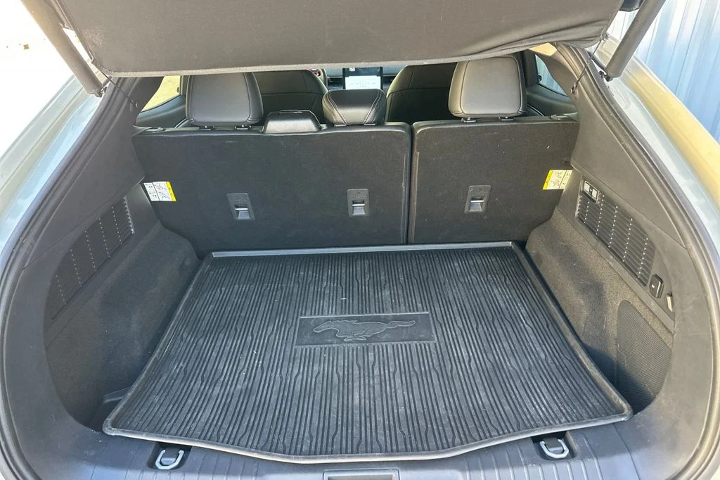 Used 2025 Desert Sand Ford Premium image 16