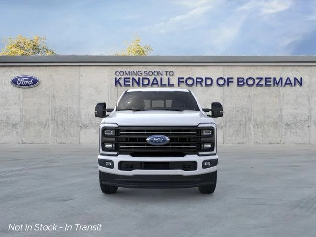 New 2026 White Ford Platinum image 6