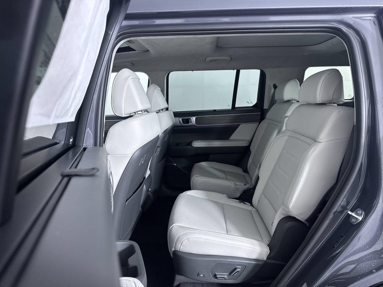 New 2026 Ecotronic Gray Hyundai Calligraphy AWD image 21