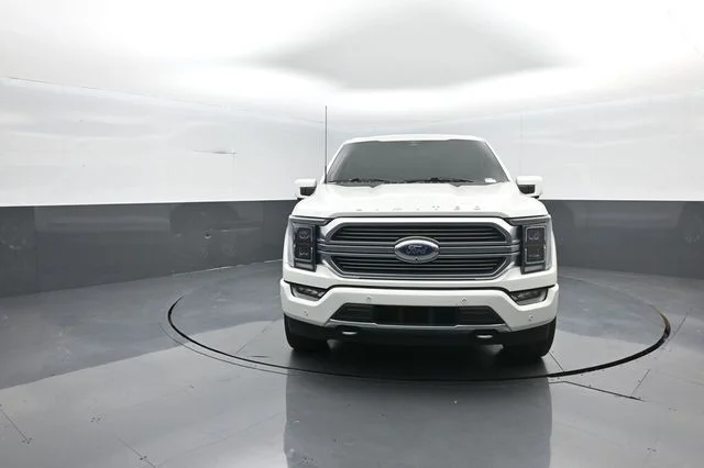 Used 2023 Star White Ford Limited image 3