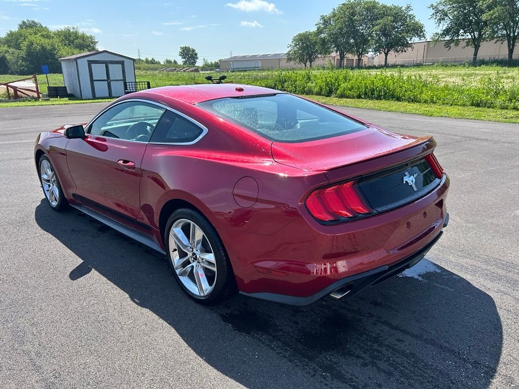 Used 2019 Ruby Red Metallic Ford EcoBoost Premium image 3