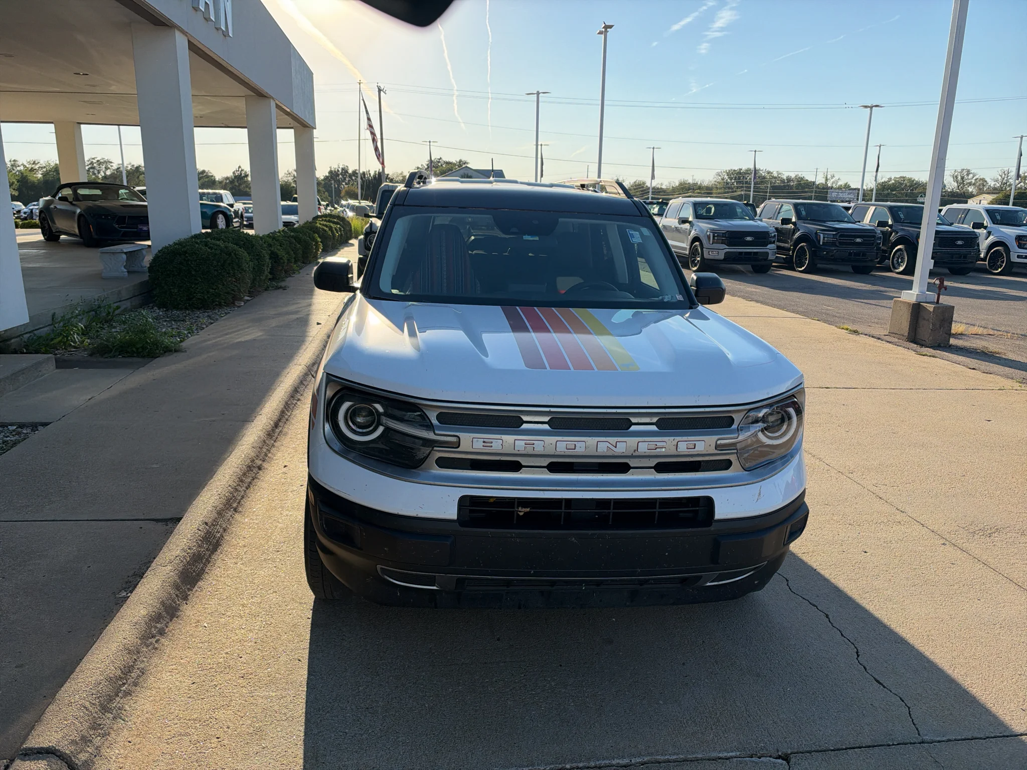 Used 2024 Oxford White Ford Free Wheeling image 3