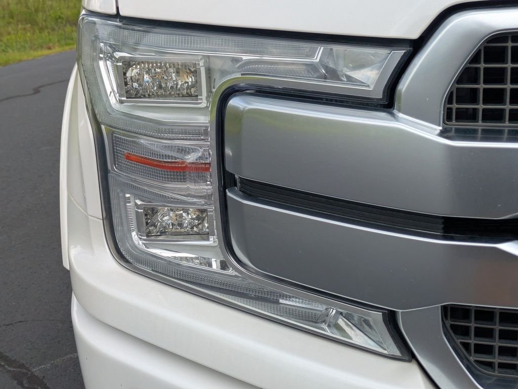 Used 2019 White Ford Platinum image 10