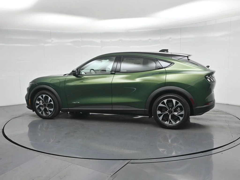 New 2026 Green Ford Select image 5