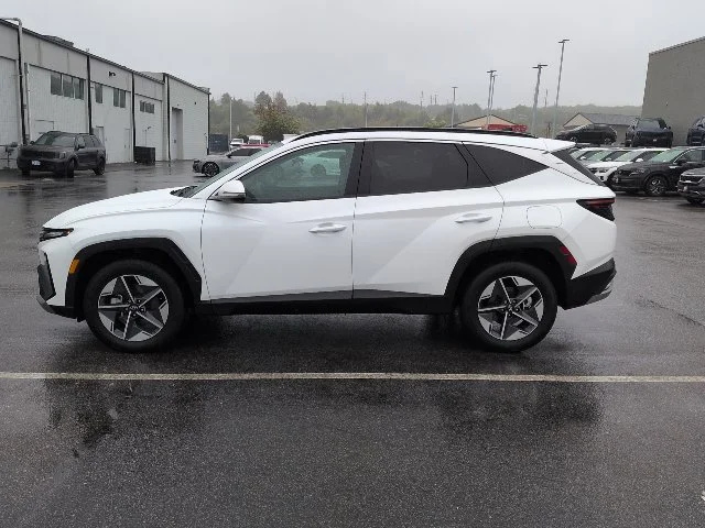 Used 2025 White Hyundai SEL Convenience image 5