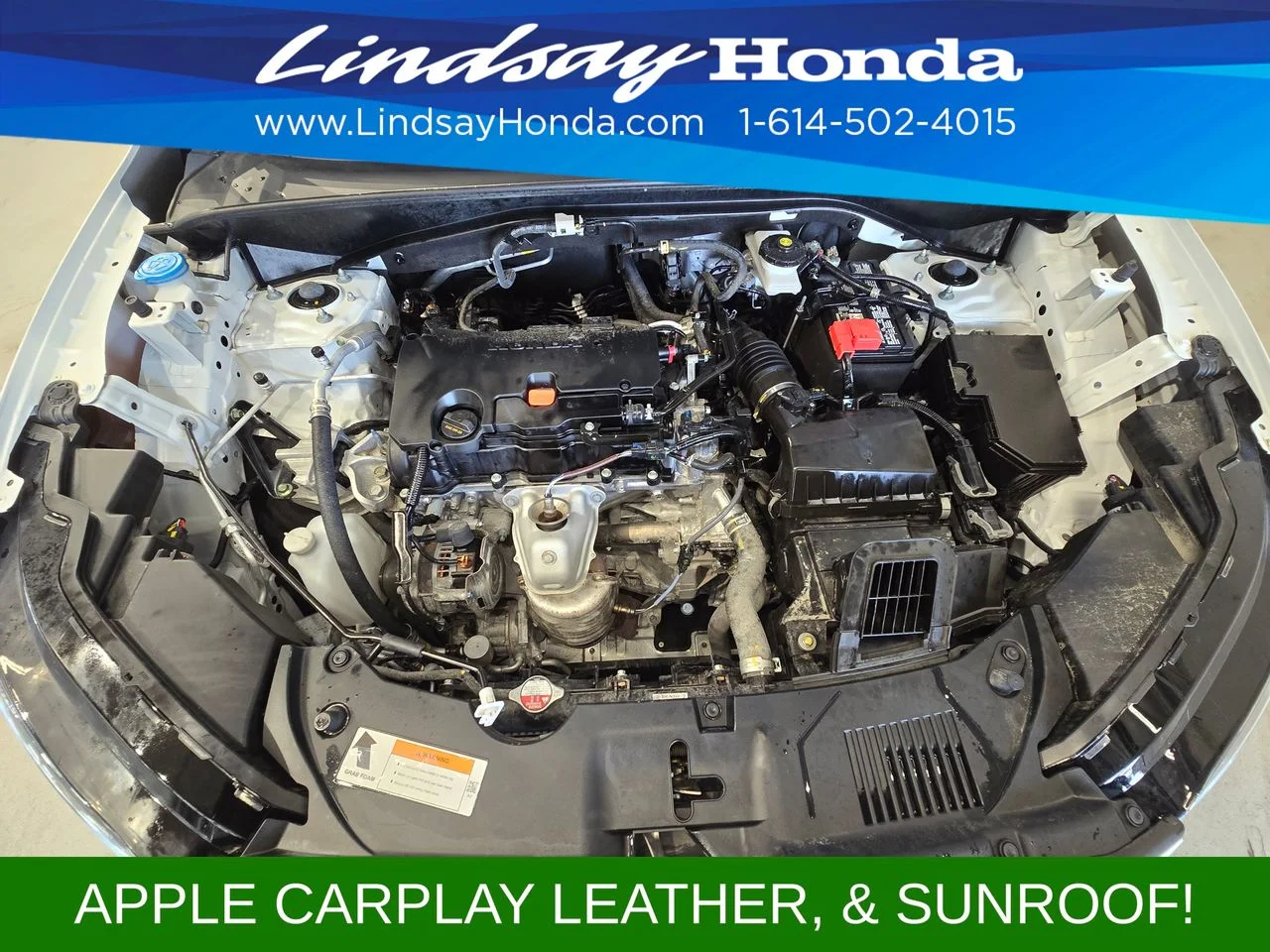 Used 2024 Platinum White Pearl Honda EX-L image 24