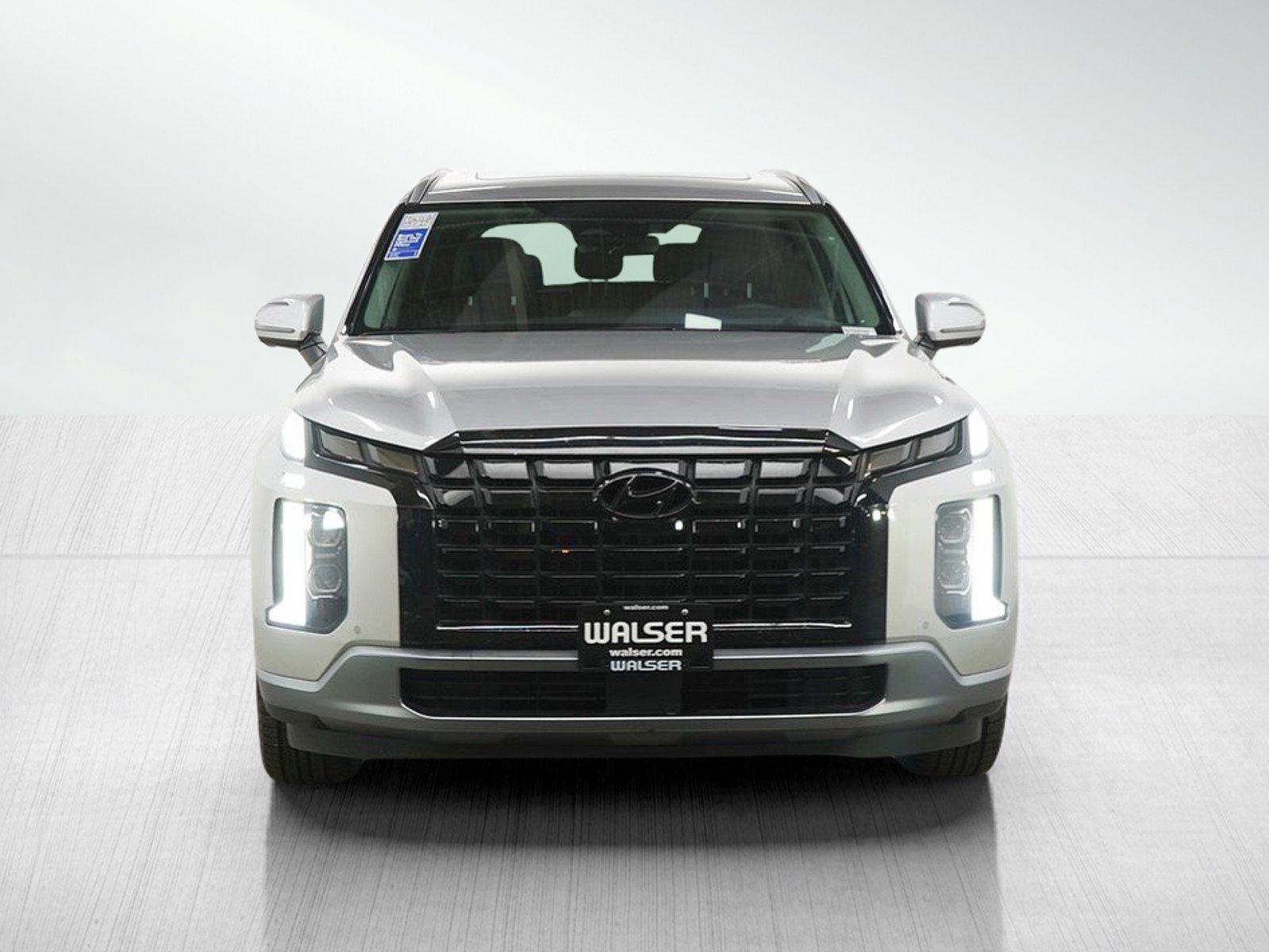 2025 Hyundai Palisade Limited - Photo 9