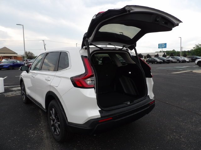 New 2027 Platinum White Pearl Honda EX-L image 10