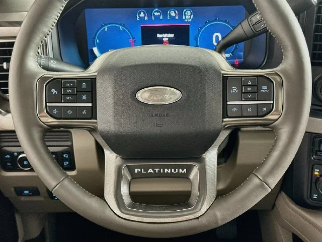 New 2026 Gray Ford Platinum image 14