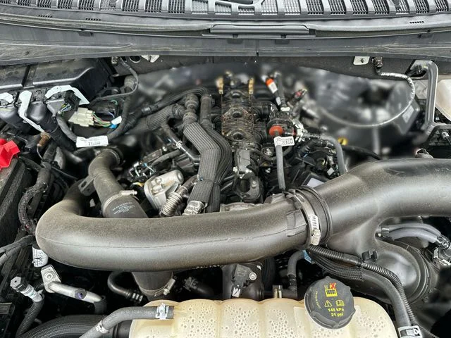 Used 2025 Black Ford Tremor image 29