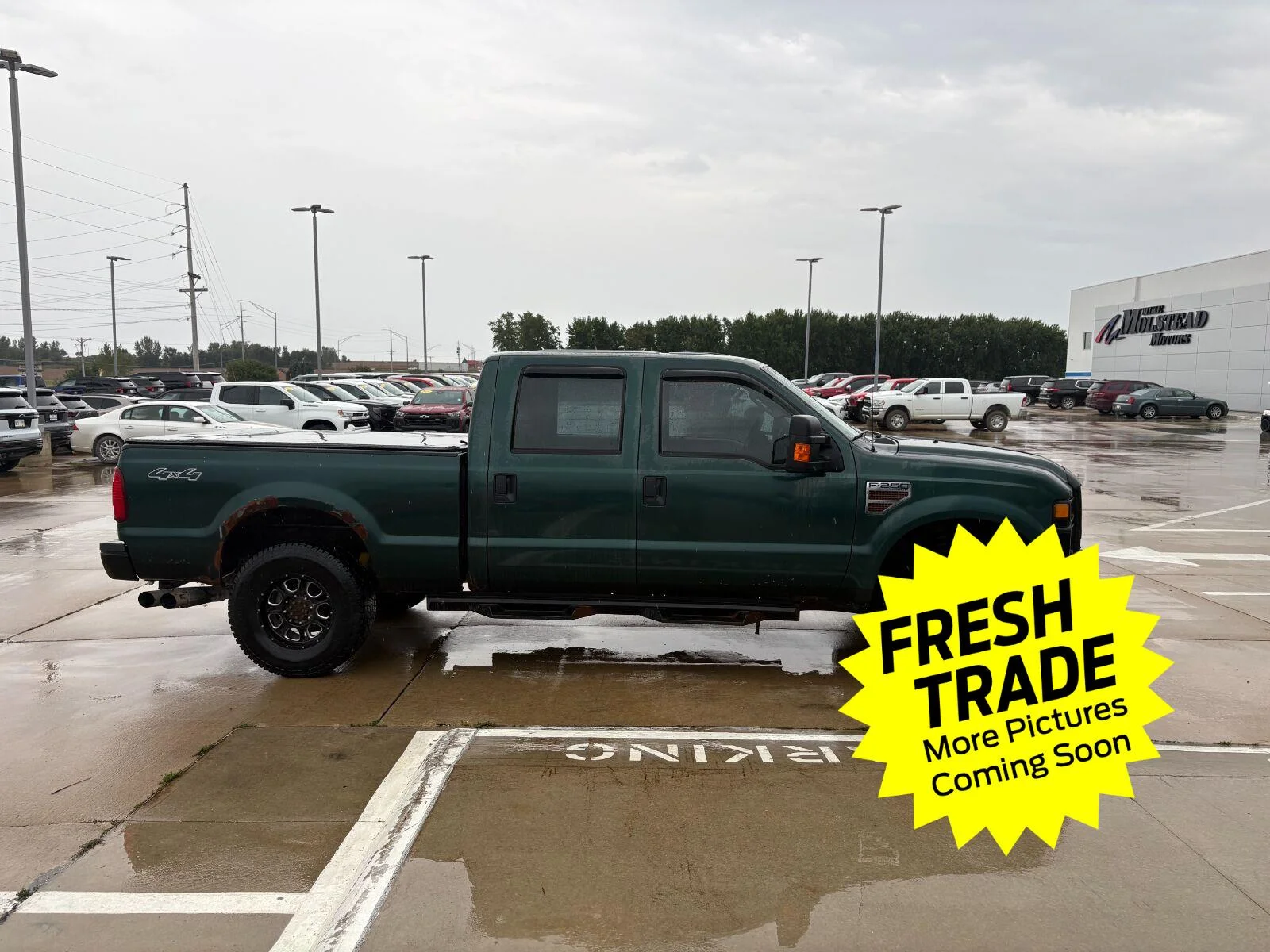 Used 2010  Ford XL image 5