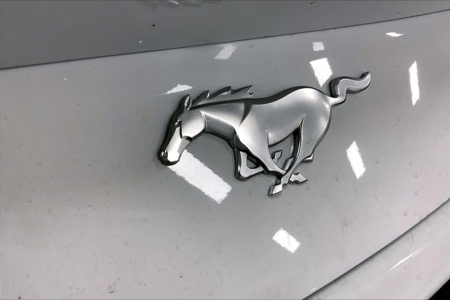 New 2026 Oxford White Ford EcoBoost® Fastback image 12