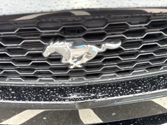 Used 2017 Black Ford EcoBoost Premium image 28
