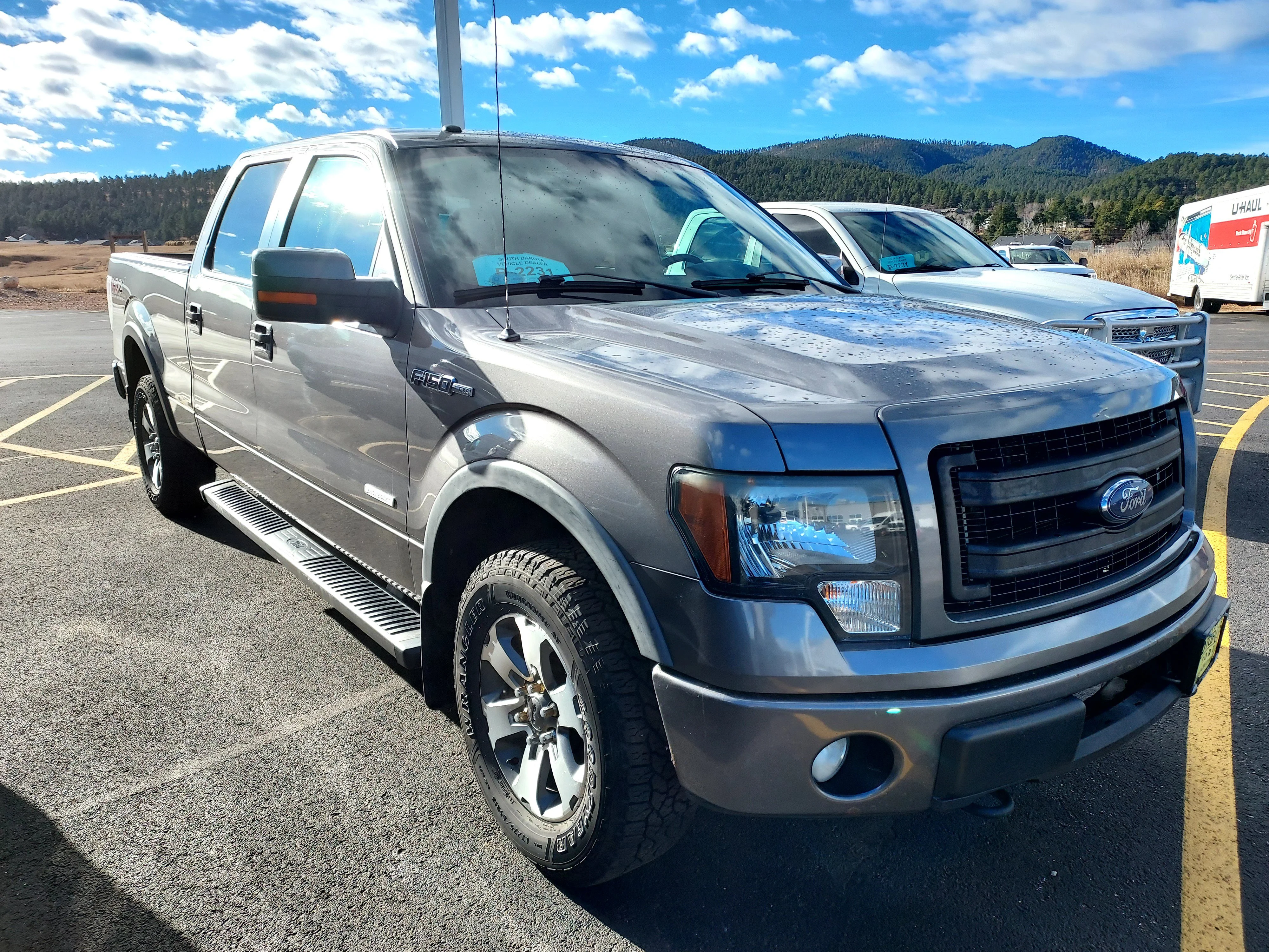 Used 2013 Gray Ford FX4 image 9