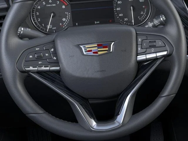 New 2025 Silver Cadillac Premium Luxury image 19