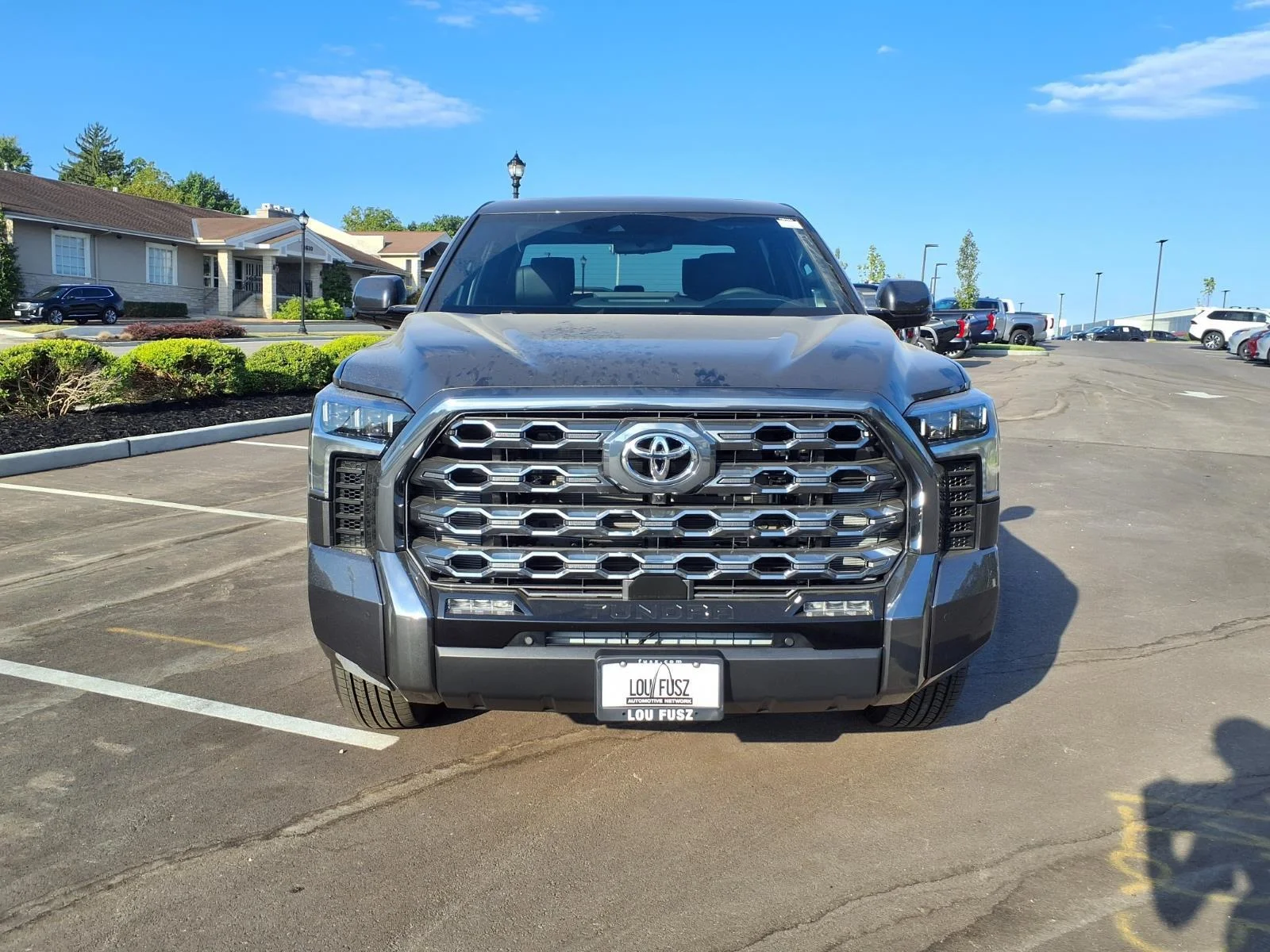 New 2026 Magnetic Gray Metallic Toyota  Platinum image 27
