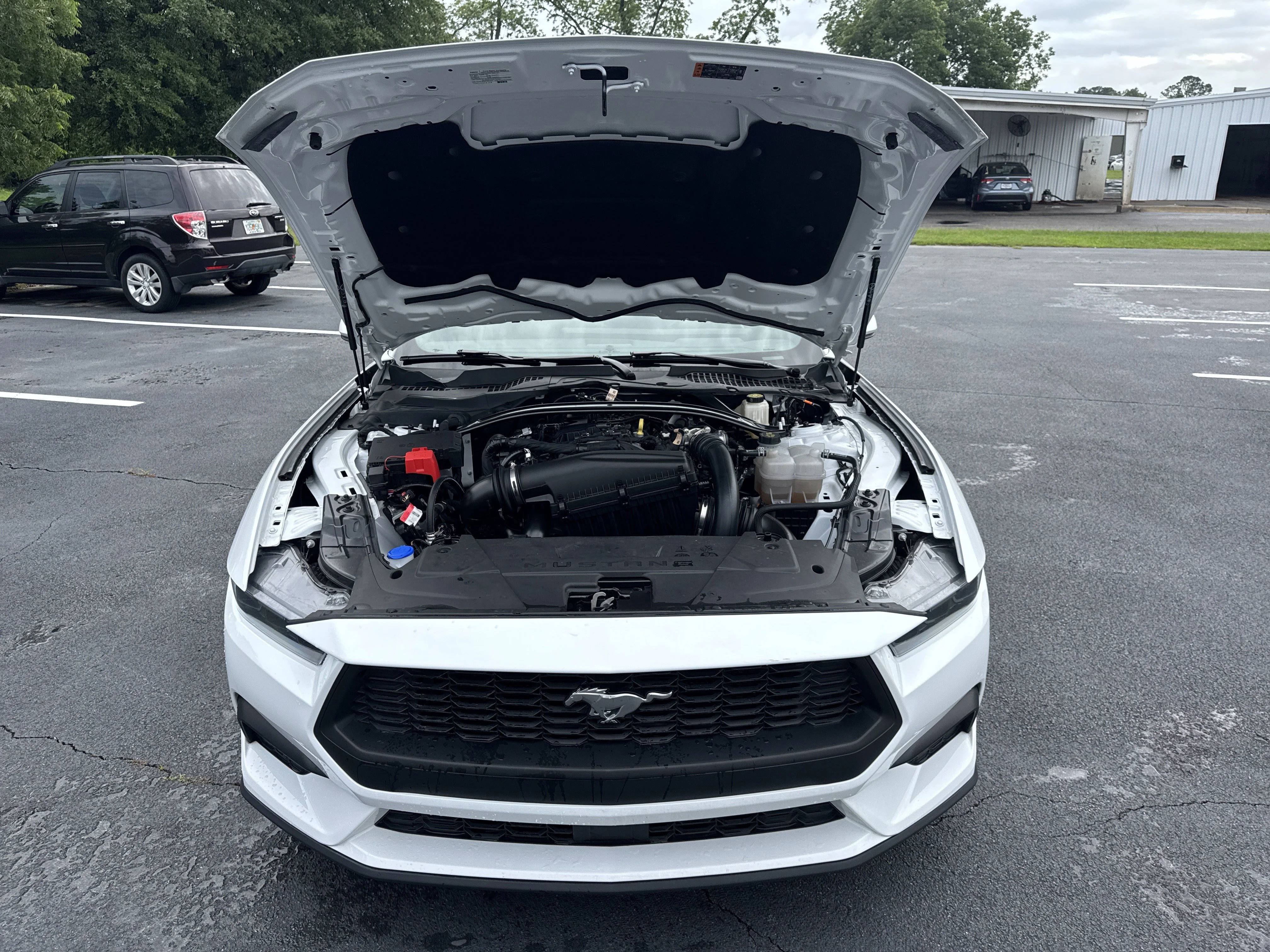 Used 2025 Oxford White Ford EcoBoost Premium image 31