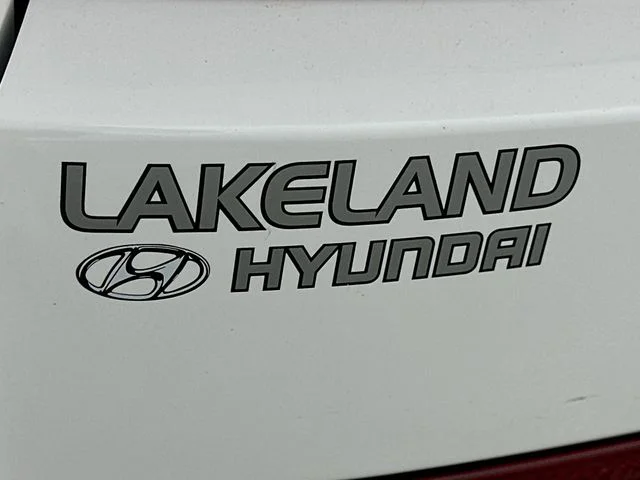 New 2026 White Hyundai Calligraphy image 26