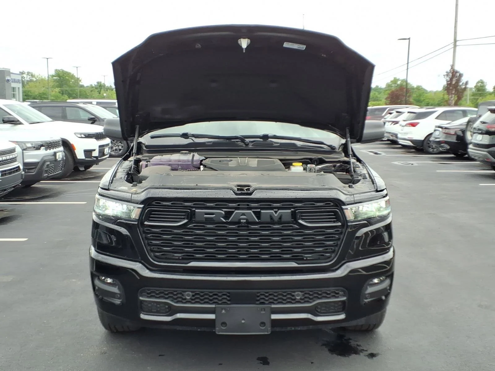 New 2026 Diamond Black Crystal Pearl-Coat Exterior Paint RAM Express image 21