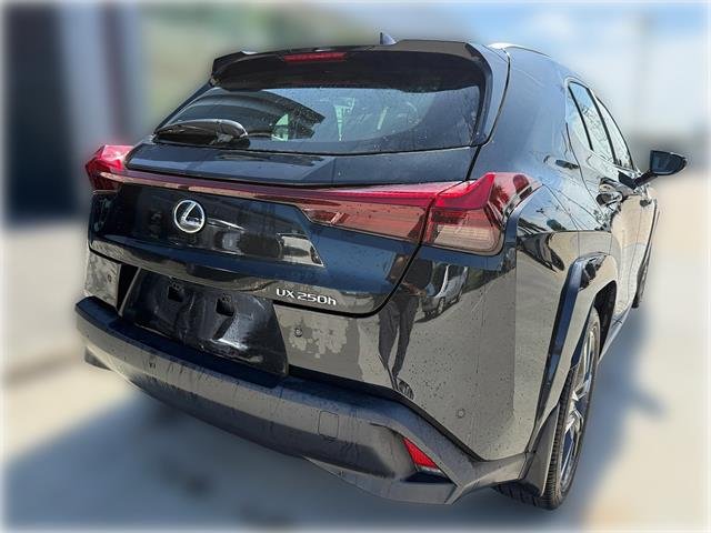 Used 2024 CAVIAR Lexus Premium 4dr Crossover image 7