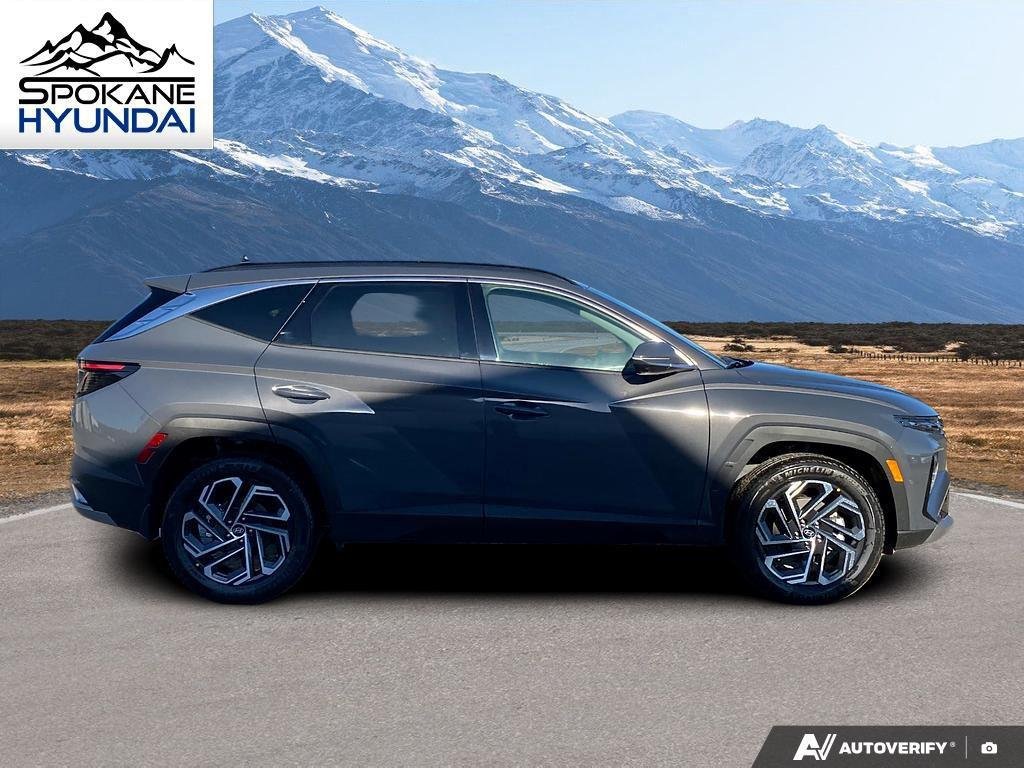 New 2026 Ecotronic Gray Hyundai Limited image 6