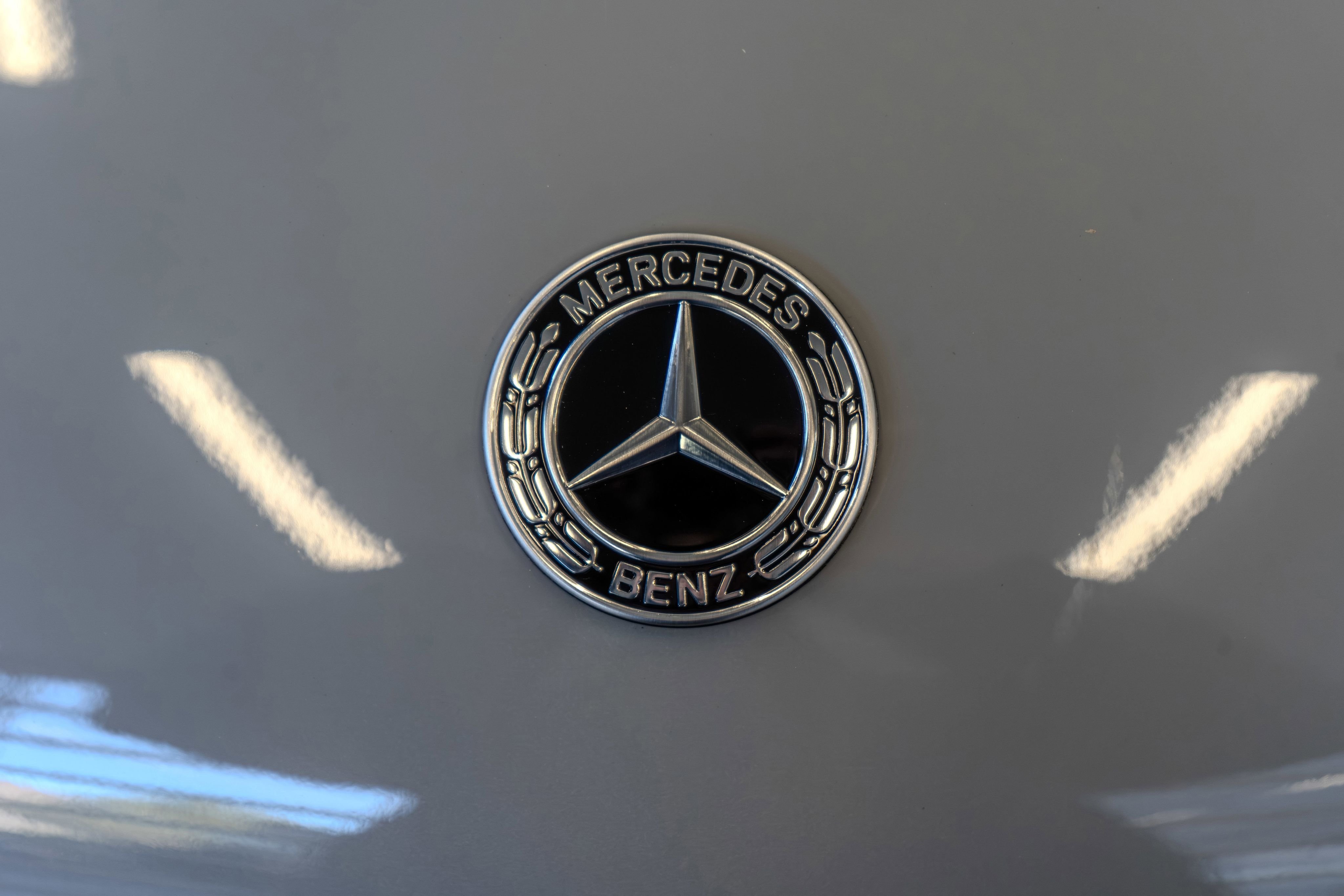 New 2026 MANUFAKTUR Alpine Grey Mercedes-Benz GLS 450 image 5