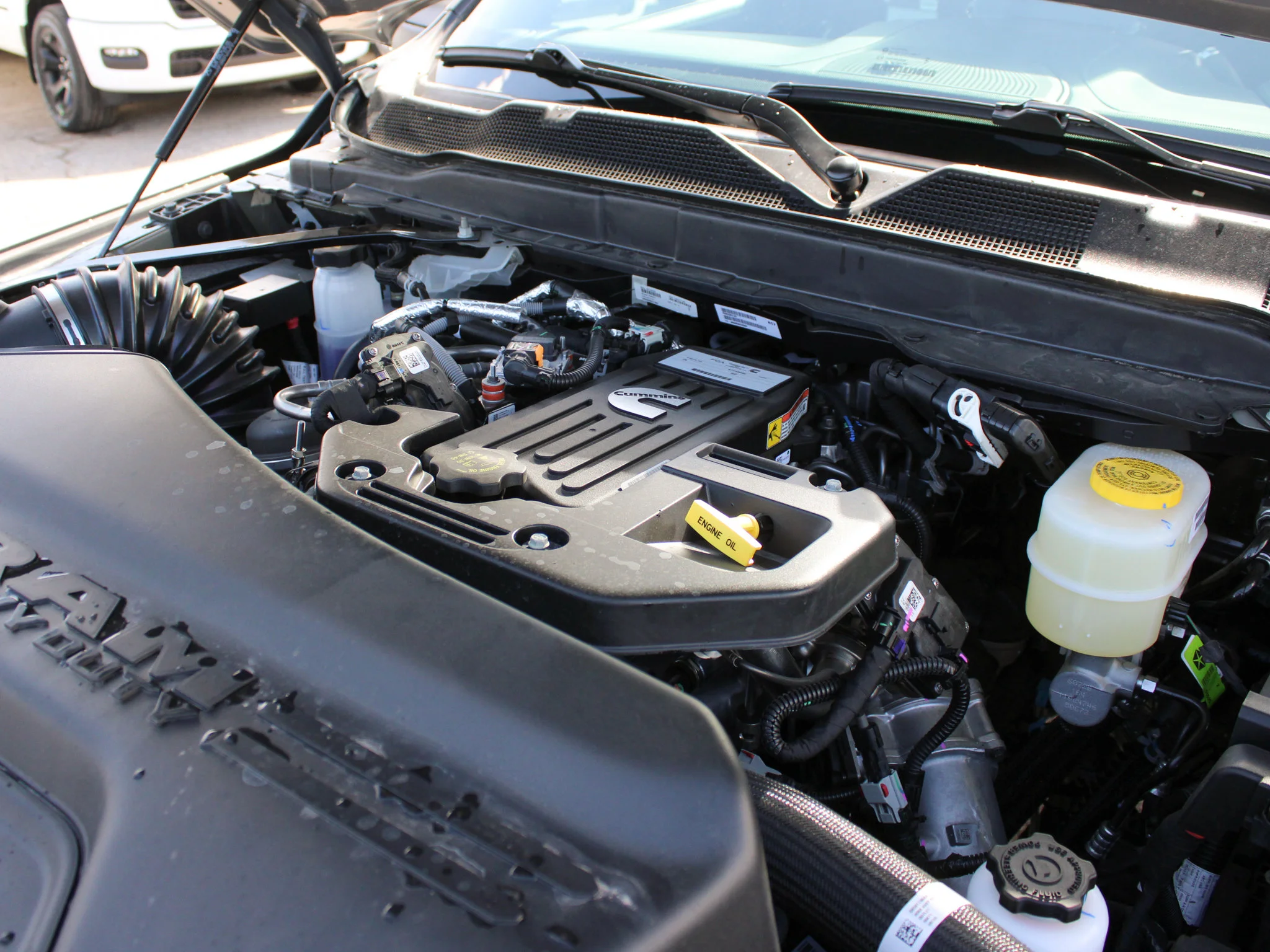 New 2026 Grey RAM Limited* image 9