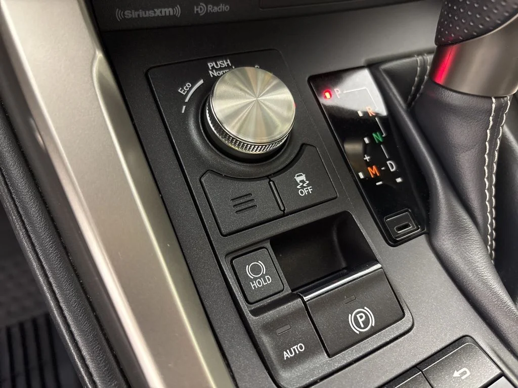 Used 2020 Gray Lexus 300 F Sport image 41
