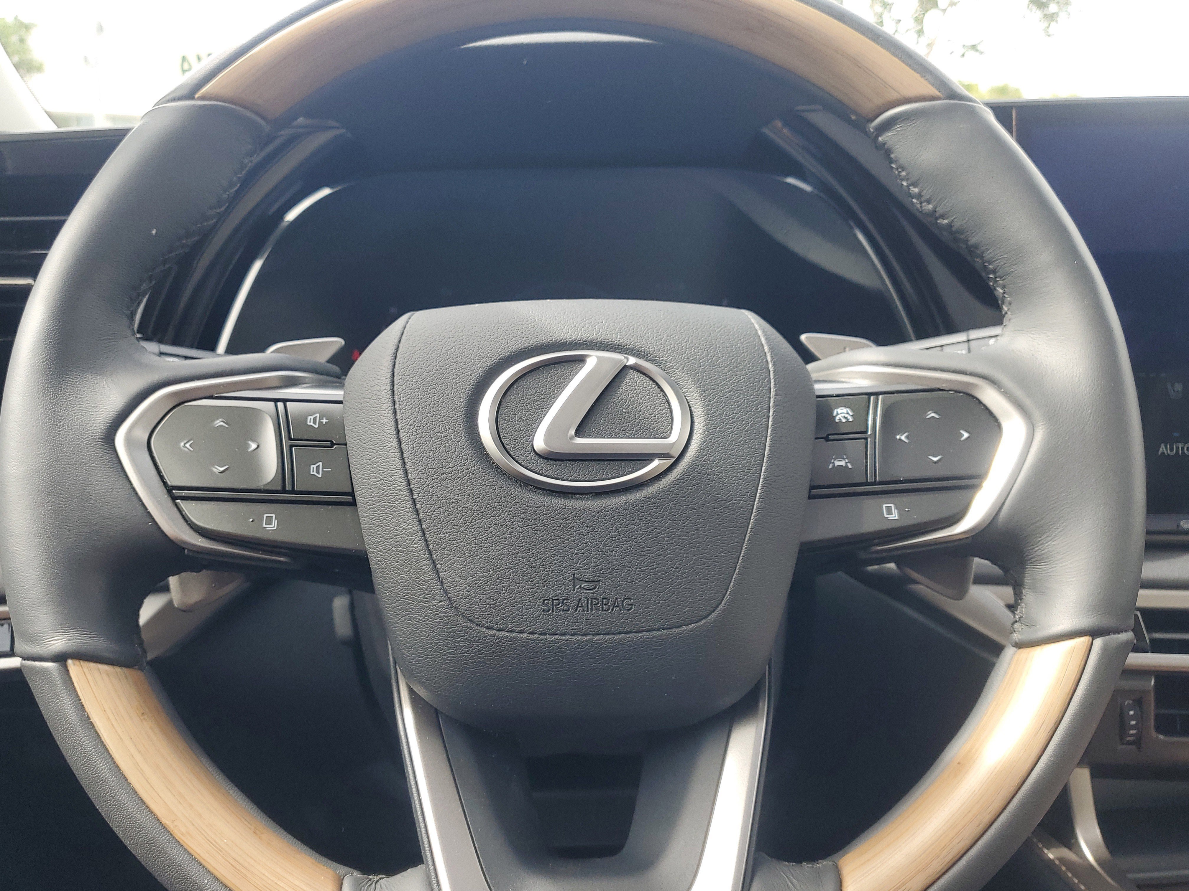 Used 2023 Mica Lexus RX 350 image 22