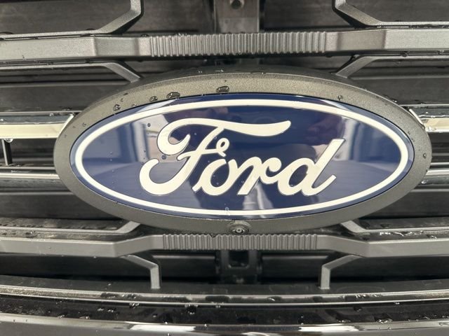 2025 Ford F-150 XLT - Photo 6