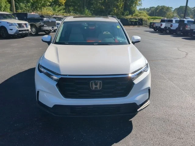 Used 2024 Platinum White Pearl Honda EX image 4