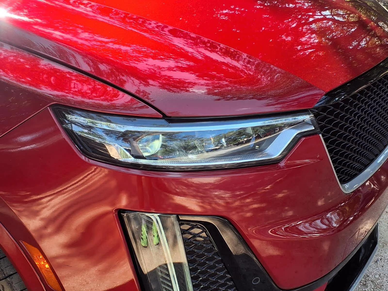 Used 2024 Radiant Red Tintcoat Cadillac Sport image 9