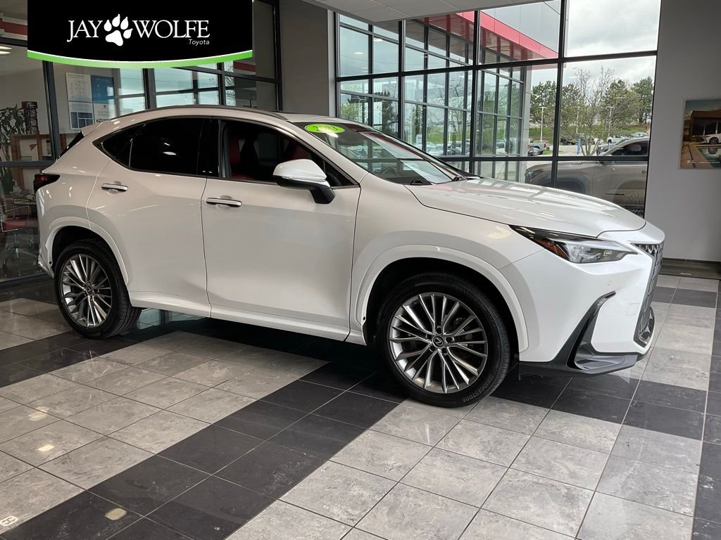 2023 Lexus NX 350h 350h Premium AWD's photo