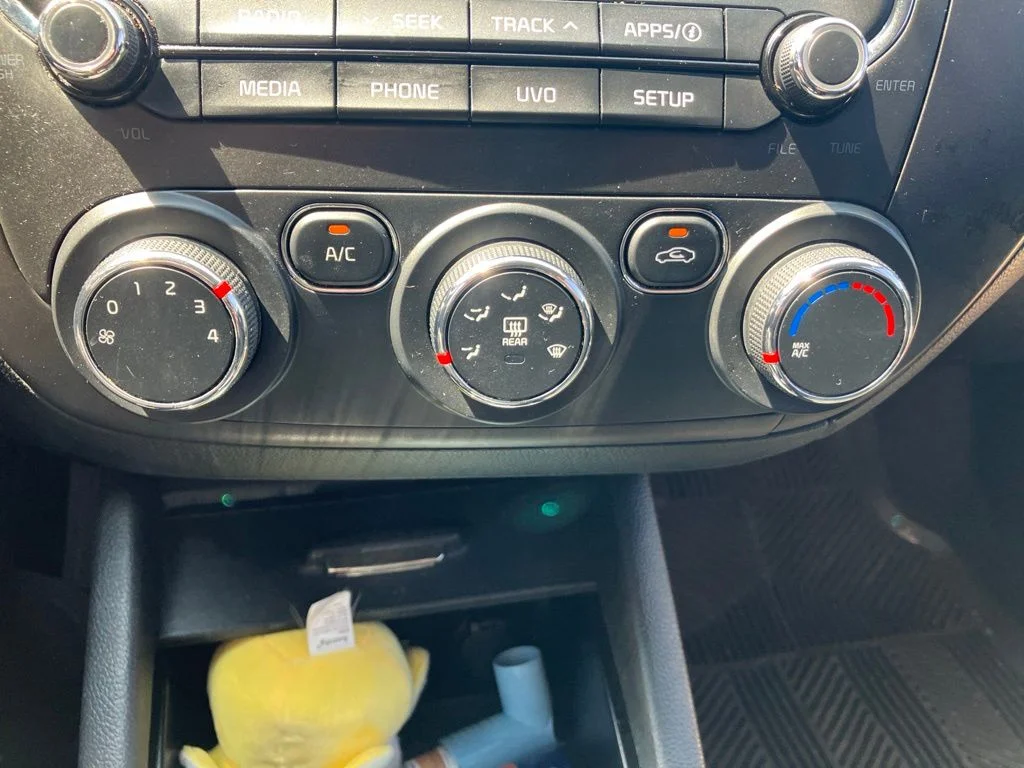 Used 2017 Black Kia LX image 18