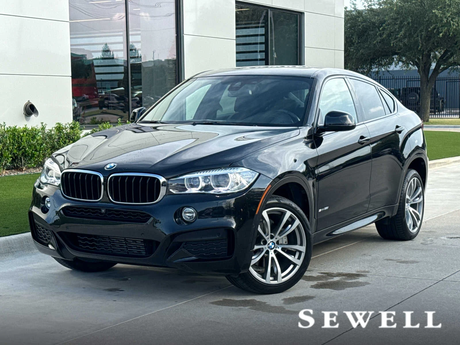 2019 BMW X6 sDrive35i's photo