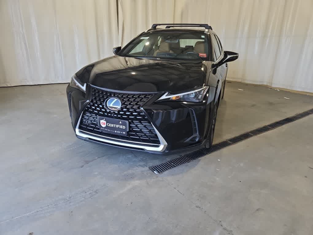 2024 Lexus UX 300h 250h Premium AWD's photo