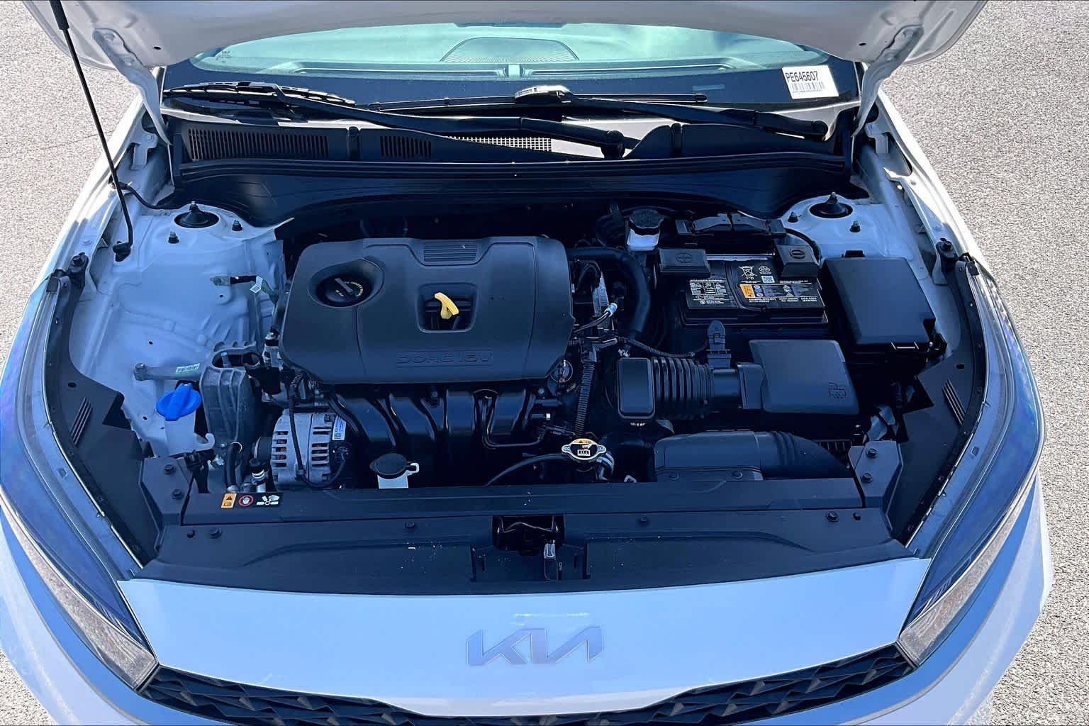 Used 2023 Snow White Pearl Kia LXS image 31