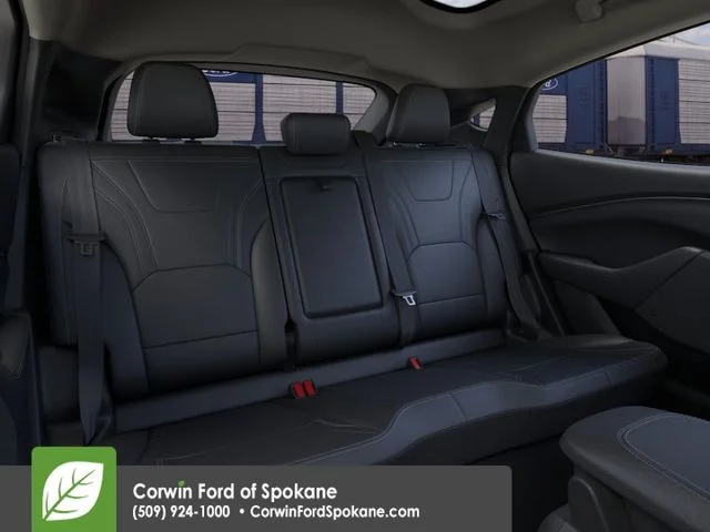 New 2026 Shadow Black Ford Premium image 11