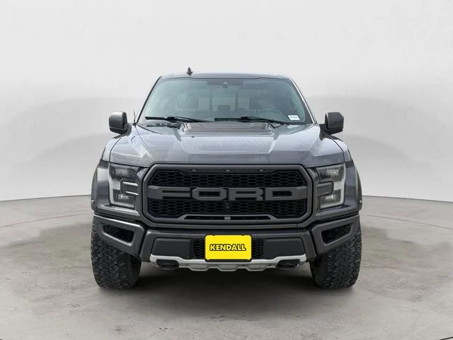 Used 2019 Magnetic Ford Raptor image 8