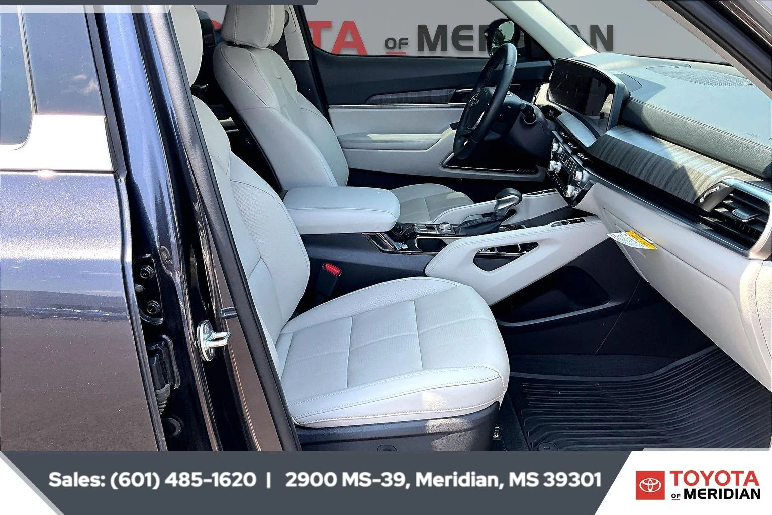 Used 2025 Panthera Metal Kia SX image 6
