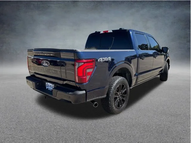 Used 2024 Blue Ford Platinum image 10