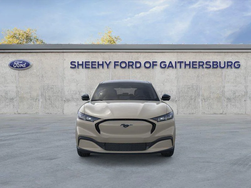 New 2026 Desert Sand Ford Premium image 6