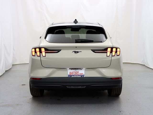 New 2026 Desert Sand Ford Premium image 6