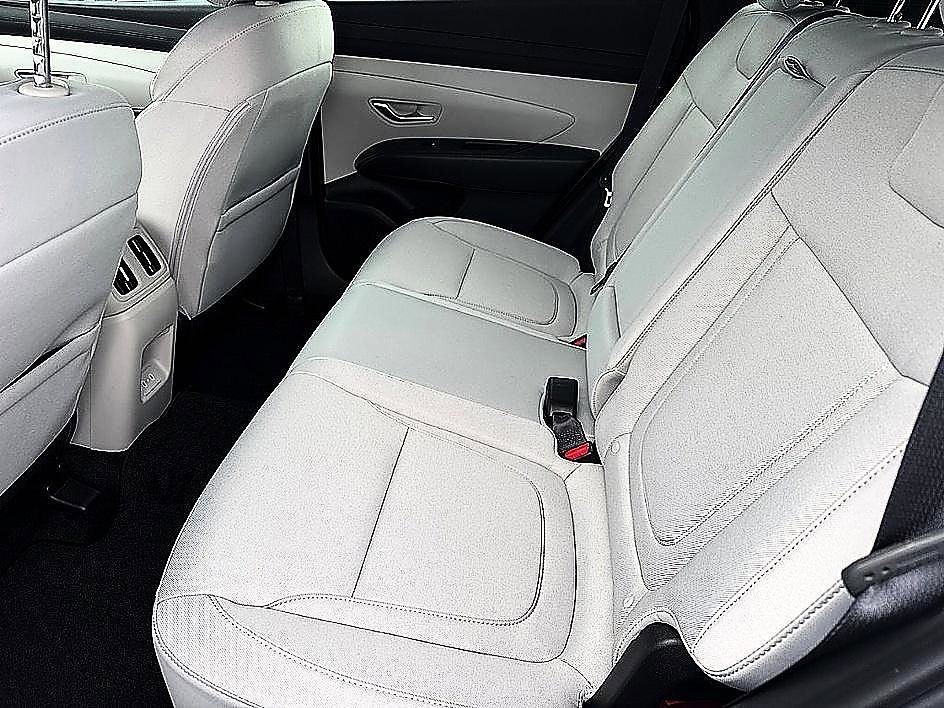 New 2026 Creamy White Pearl Hyundai Blue image 6