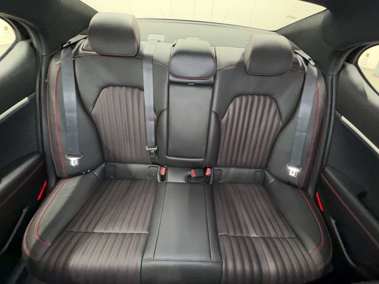 New 2027 Vik Black Genesis Standard image 21