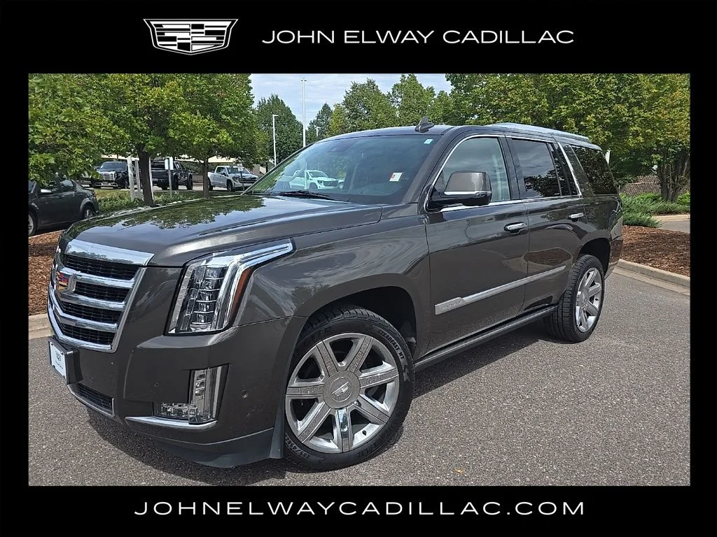 2020 Cadillac Escalade Premium Luxury 4WD photo