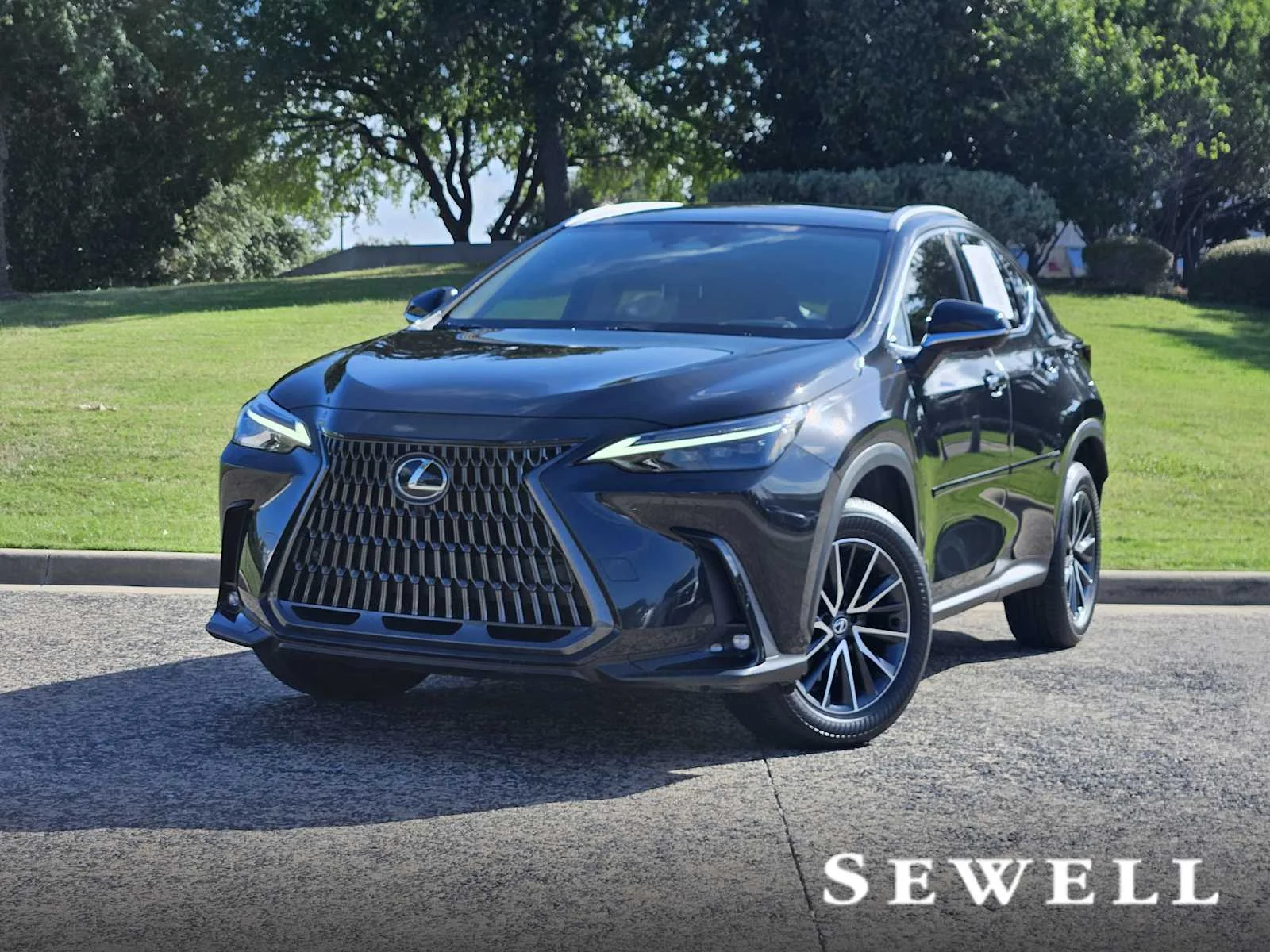 2025 Lexus NX 350 Luxury