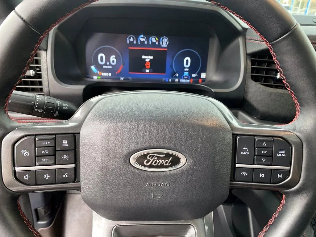 Used 2024 Black Metallic Ford Limited image 21