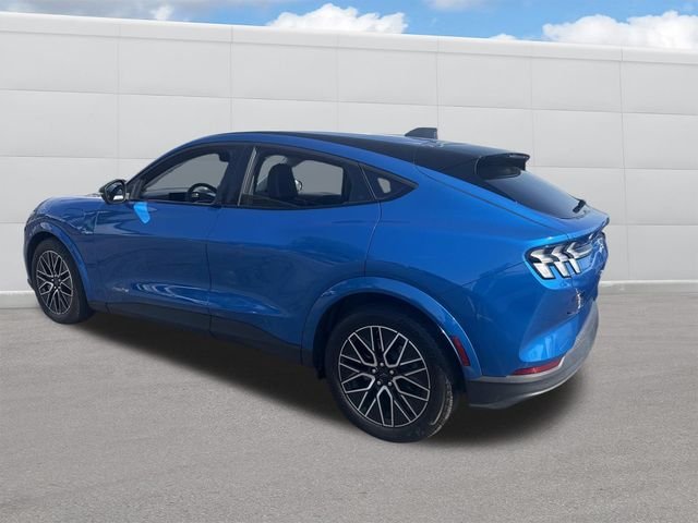 Used 2025 Blue Metallic Ford Premium image 3