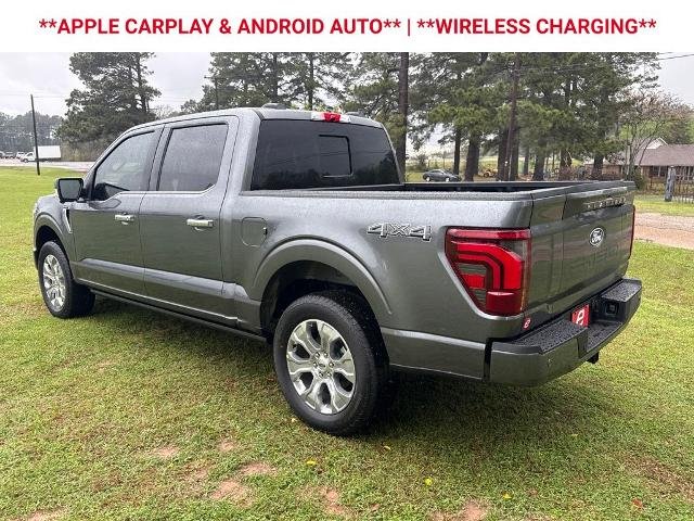 New 2026 Carbonized Gray Metallic Ford Platinum® image 68